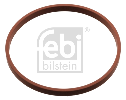 Seal Ring, throttle body